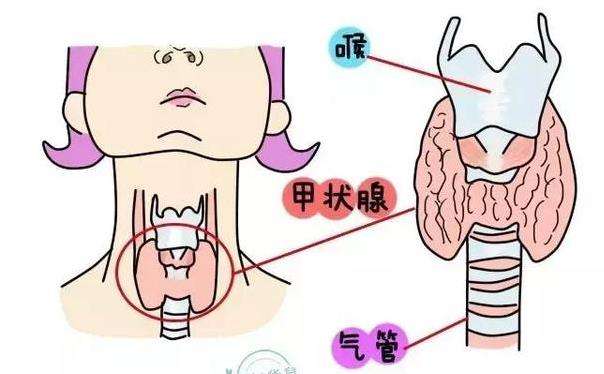 備孕一定要先做這項檢查，不然很容易得病