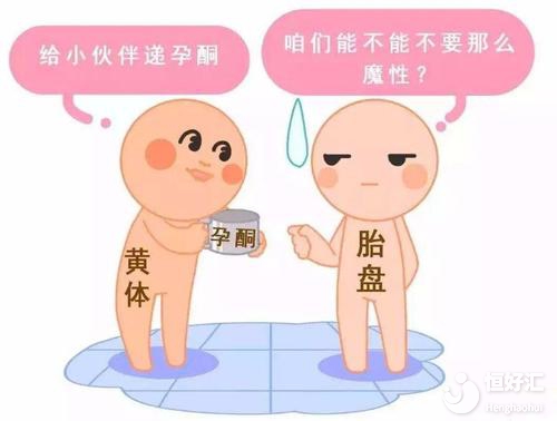 做試管能不能懷孕？醫(yī)生：這幾點因素說了算