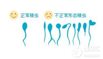 精子畸形率高會(huì)造成胎兒畸形?麻煩別太無(wú)知了