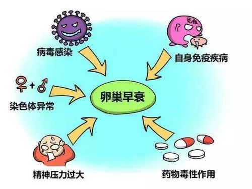 卵巢出現(xiàn)早衰的6個癥狀，女性留意下自己的身體