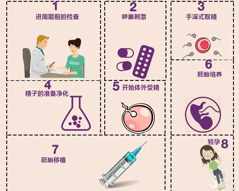 試管嬰兒的步驟、預算和時間管理