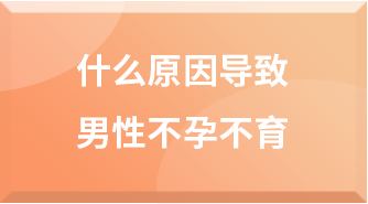 男性不孕不育的原因